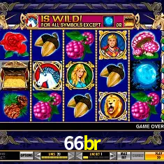 66br São Paulo - Live Tables