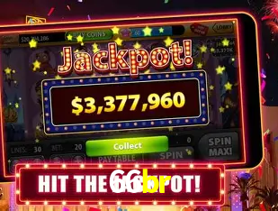 66br Curitiba - Live Status